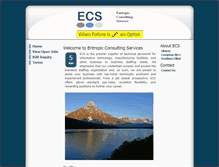 Tablet Screenshot of ecs4u.com